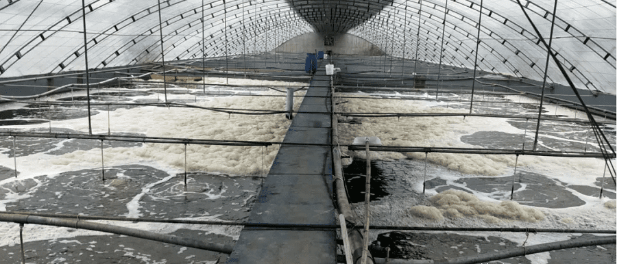 海水養(yǎng)殖消泡劑應(yīng)用場景圖